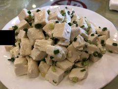 小葱豆腐-鹤乡东北菜(崮山路店)