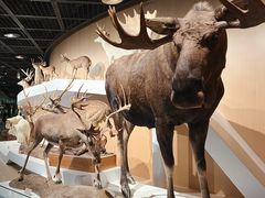 -陕西自然博物馆