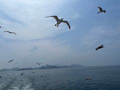 -海驴岛(荣成市)