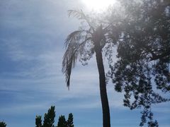 -东姑阿都拉曼海洋公园