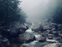 -青峰峡国家森林公园