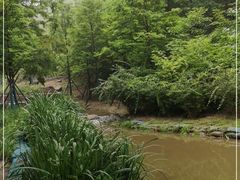 -白水寺森林公园
