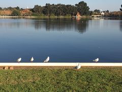 -云南滇池花园国际大酒店温泉