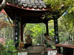 -上海醉白池公园