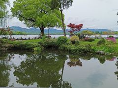 -杭州西湖柳莺里酒店