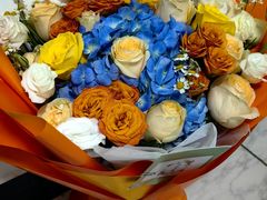 -峨嵋酒家(牡丹园店)