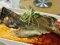-寻味顺德·南记酒家·传统顺德菜·鱼生(广源路店)