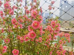 -想家粒科学探索中心(青林湾店)