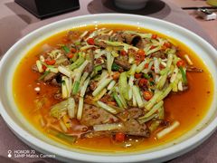 -沸腾鱼乡(知春路分店)