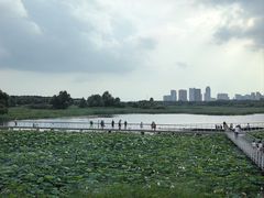 -哈尔滨大剧院