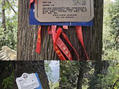 -金堂县云顶石城风景区