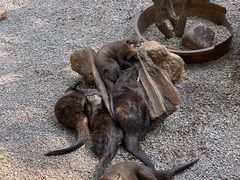 -昆明动物园