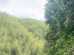 -将军关探险漂流