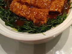-松鹤楼(狮山永利广场店)
