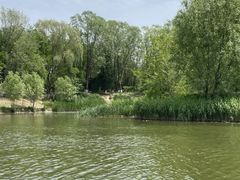 -大兴滨河森林公园