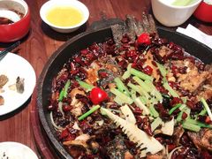 -老板恋上鱼(荣盛广场店)