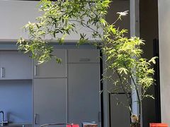 -怡情荟•海鲜青岛菜(五四广场旗舰店)