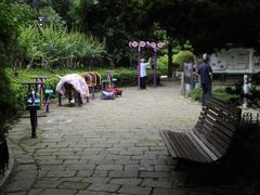-尼亚加拉瀑布州立公园