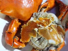 青蟹-杨记海鲜楼(三门黑金冠店)