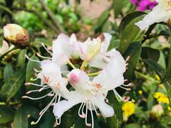 -贵州省植物园