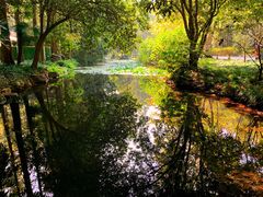 -西溪国家湿地公园