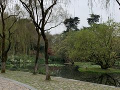 -西湖游船