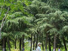 -仟吉·ART FARM主题店(菱角湖万达店)