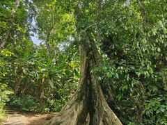-中国科学院西双版纳热带植物园