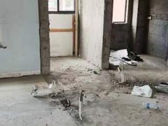-居丽装饰空间设计(总部)