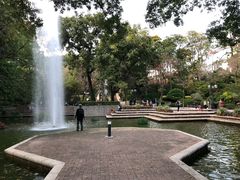 -九龙公园