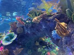 -成都浩海立方海洋公园