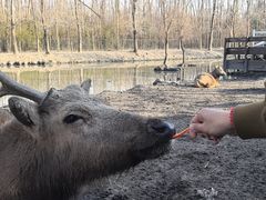 -溱湖国家湿地公园