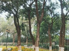 -永定河休闲森林公园