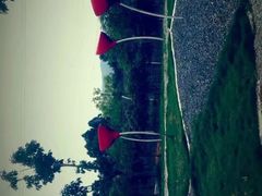 -紫颐香薰山谷景区