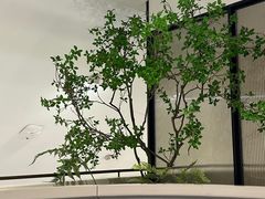 -106餐厅北京菜.烤鸭(百子湾店)