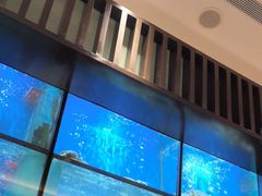 -珍宝海鲜JUMBO Seafood(尚嘉店)