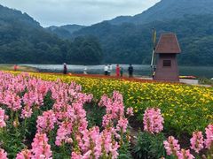 -广州市石门国家森林公园