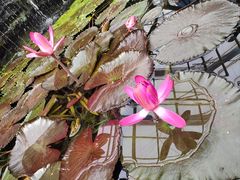 -国家植物园南园