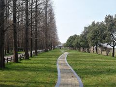 -同里国家湿地公园