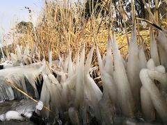 -东钱湖旅游度假区