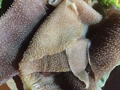 -张嬢嬢老火锅(壹号店•六年店)