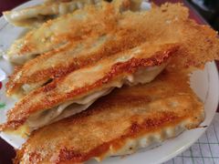 肉三鲜锅贴-青岛锅贴(洛阳路分店)