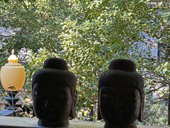 -子福慧(虹桥店)