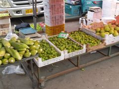 -重振华中蔬菜批发市场(重庆中路店)