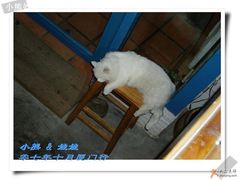 -Babycat私家御饼屋(龙头路一店)