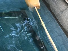 -苏州湾王焰温泉度假酒店