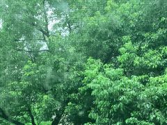 -宾湖农庄·农场特色(太湖龙之梦店)