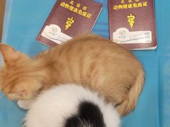 -美迦爱-牙专科·兔科·骨科诊疗中心(北苑店)