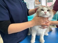 -瑞派申生动物医院·24H夜诊·国际动物医疗中心·骨外科(吴中路店)