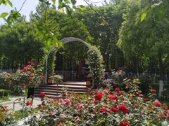 -大蜀山国家森林公园